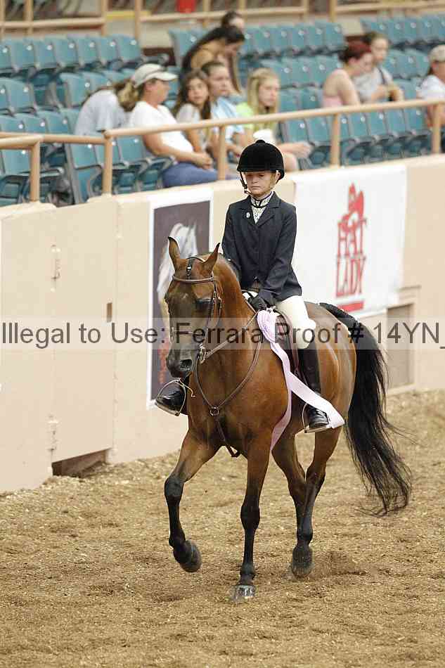 Proof 14yn_03853
