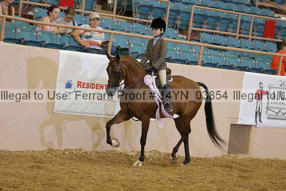 Proof 14yn_03854