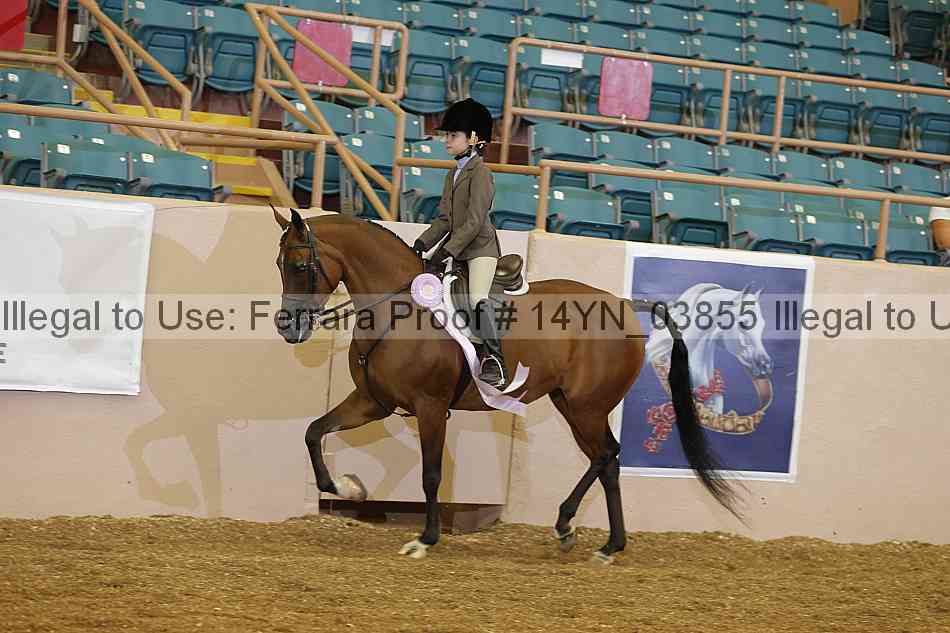 Proof 14yn_03855