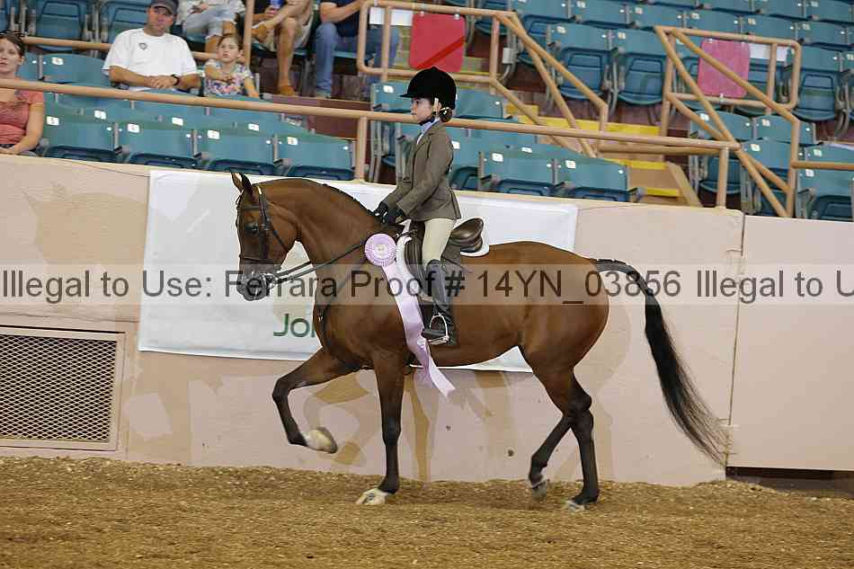 Proof 14yn_03856