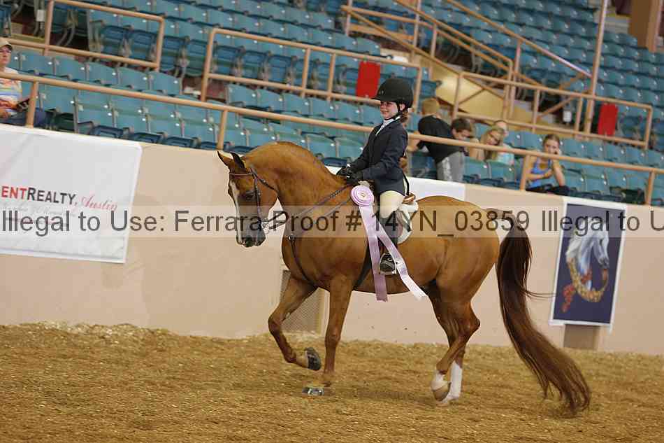 Proof 14yn_03859