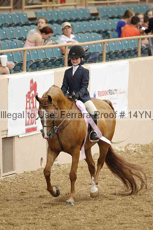 Proof 14yn_03864
