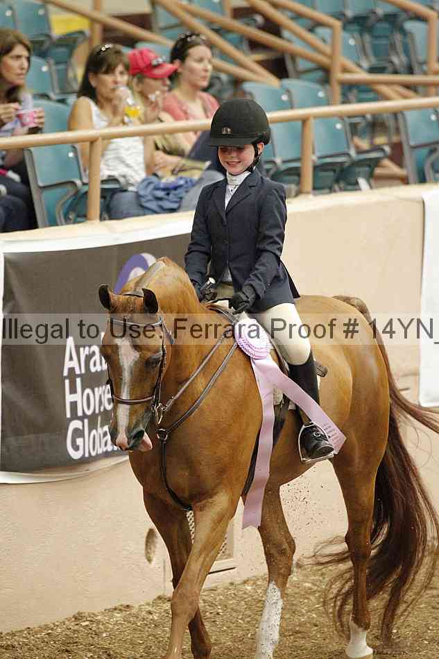 Proof 14yn_03865