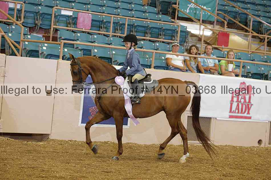 Proof 14yn_03868