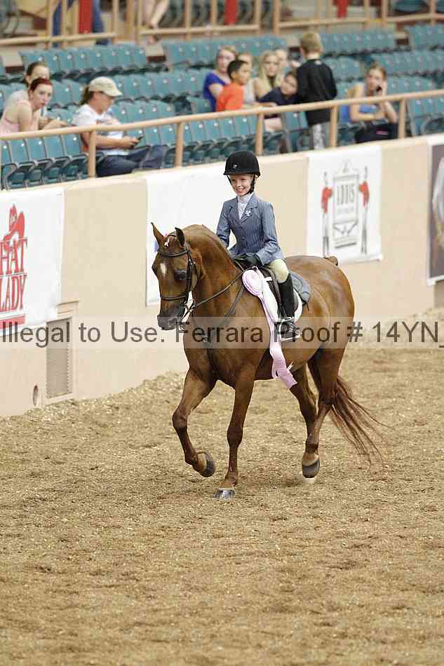 Proof 14yn_03869
