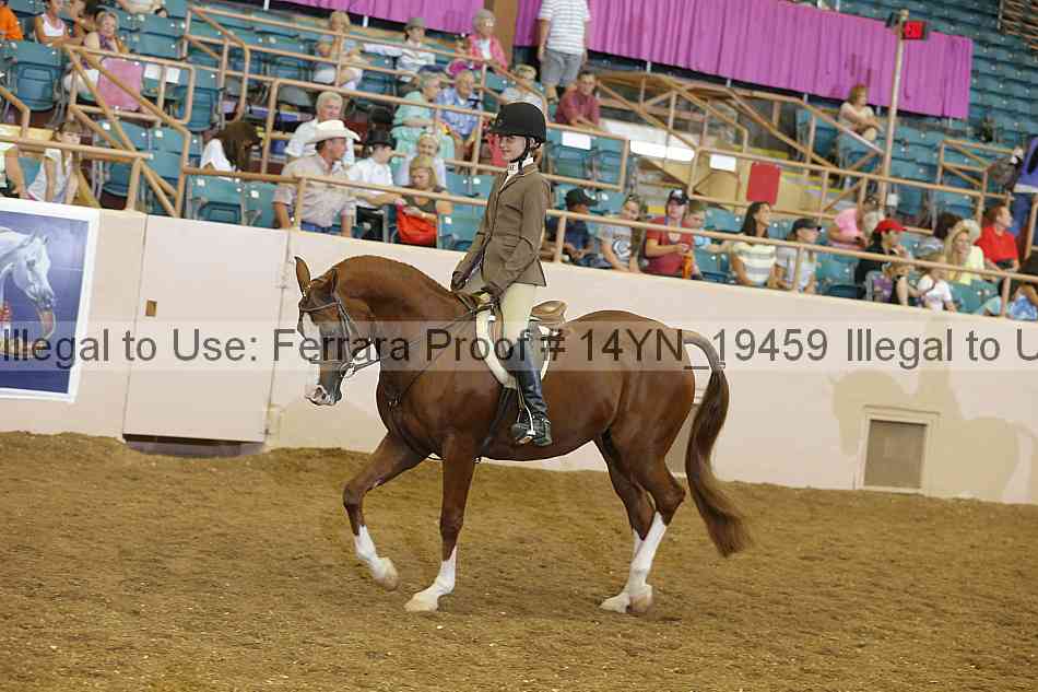 Proof 14yn_19459