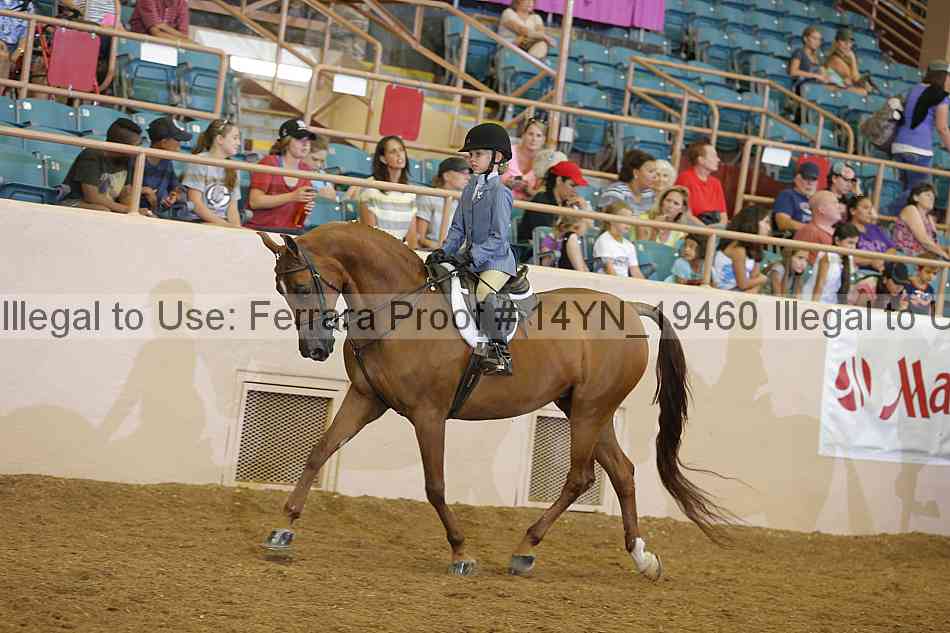 Proof 14yn_19460