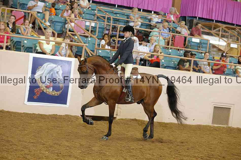 Proof 14yn_19464