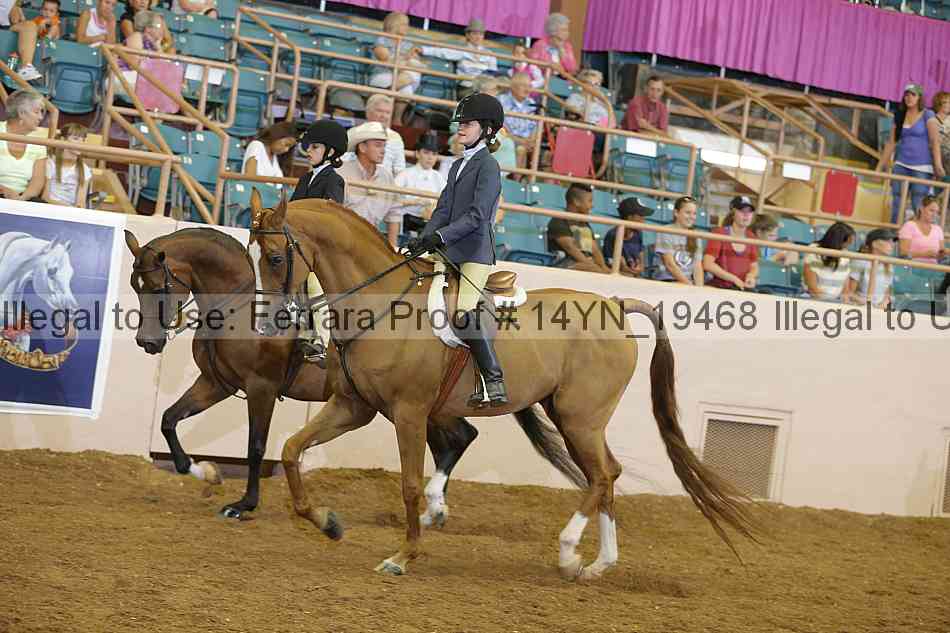 Proof 14yn_19468
