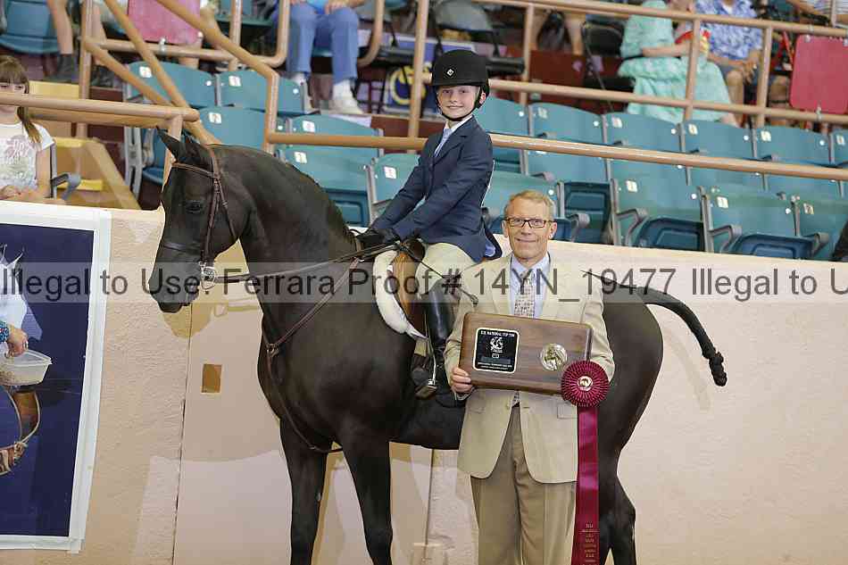 Proof 14yn_19477