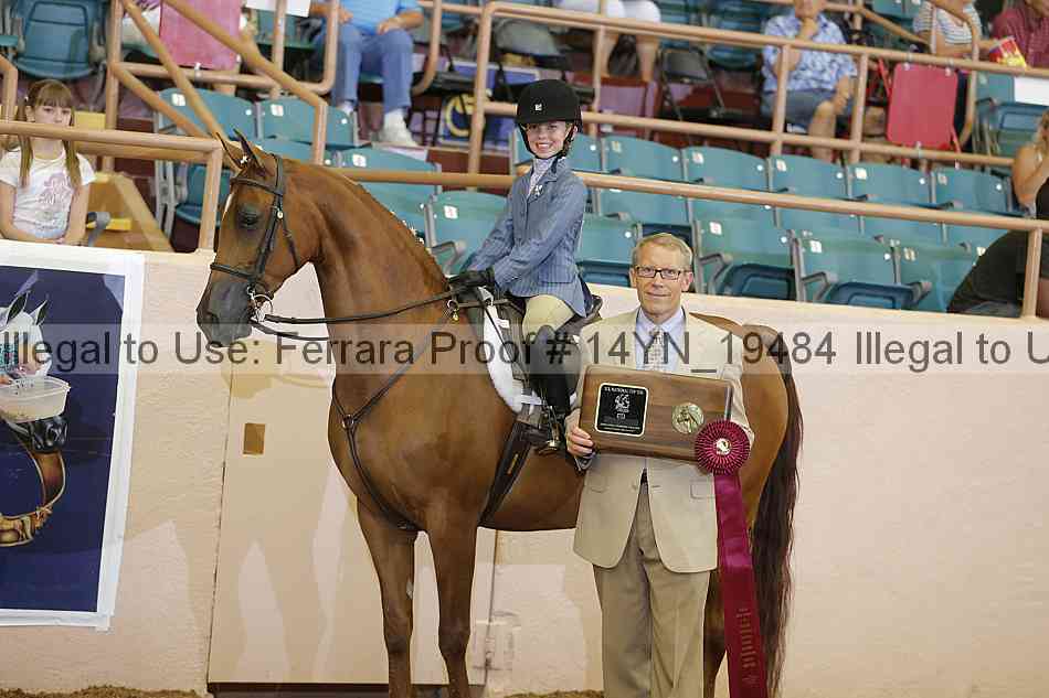 Proof 14yn_19484