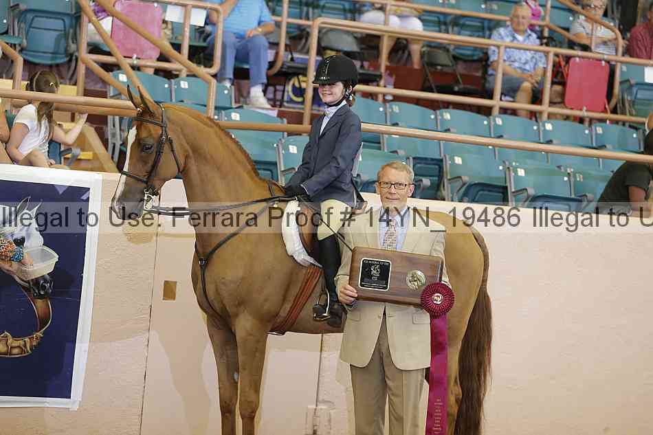 Proof 14yn_19486