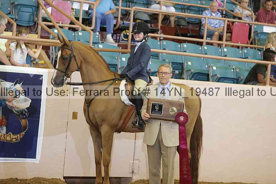 Proof 14yn_19487