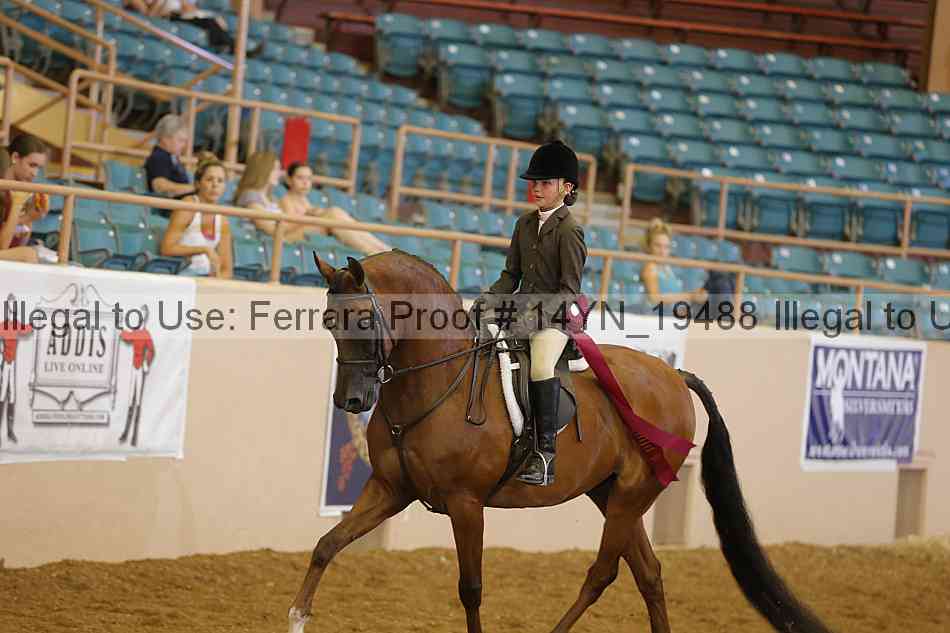 Proof 14yn_19488