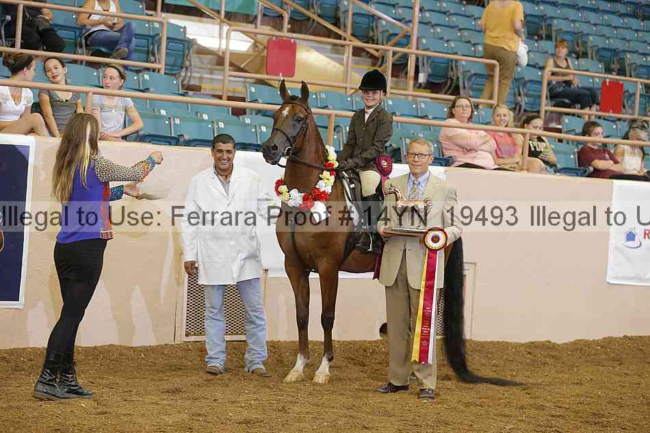 Proof 14yn_19493