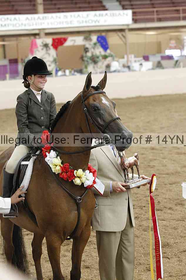 Proof 14yn_19495