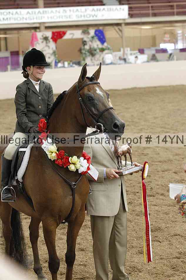 Proof 14yn_19496