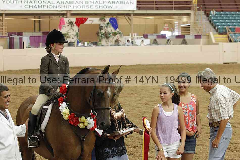 Proof 14yn_19499
