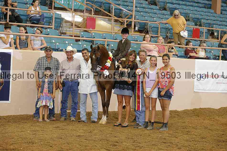 Proof 14yn_19503