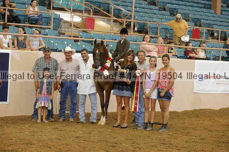 Proof 14yn_19504