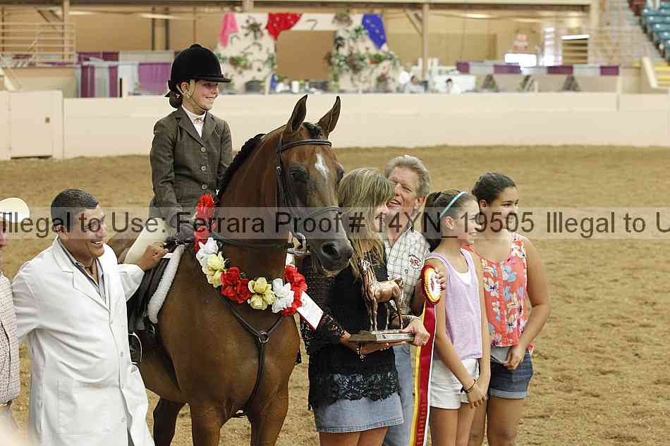 Proof 14yn_19505