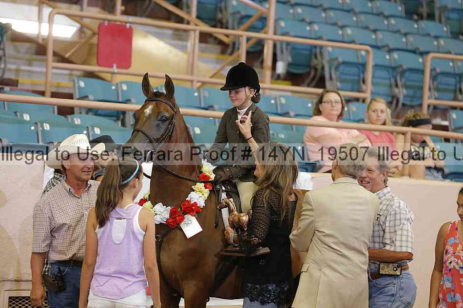 Proof 14yn_19507