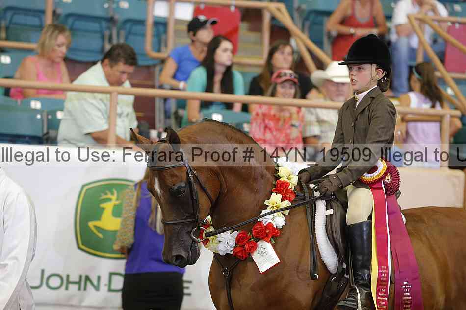 Proof 14yn_19509