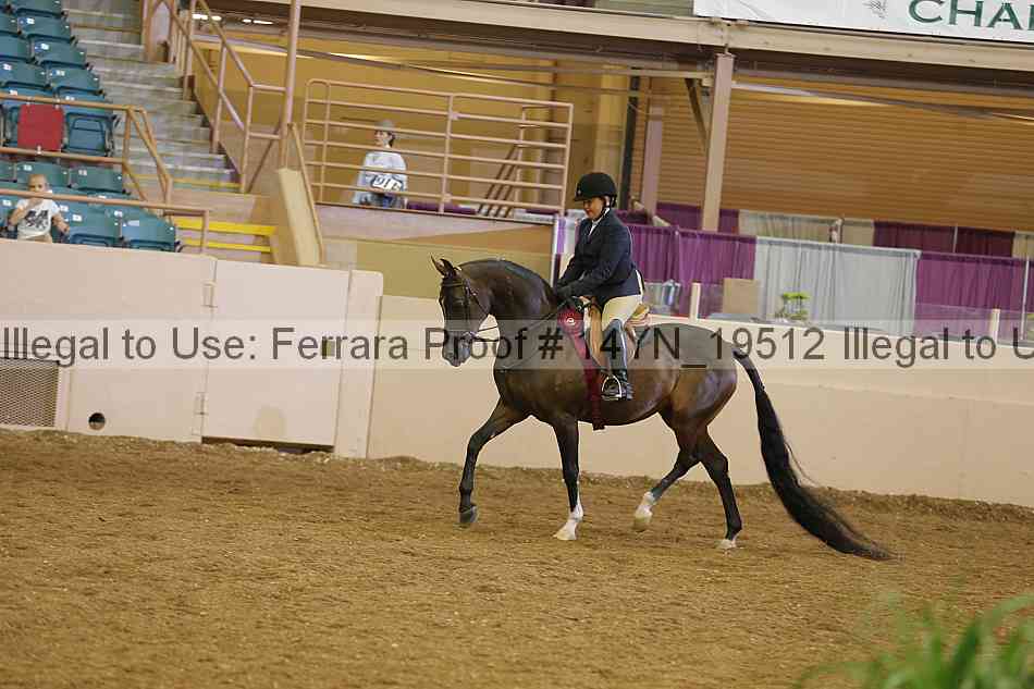 Proof 14yn_19512