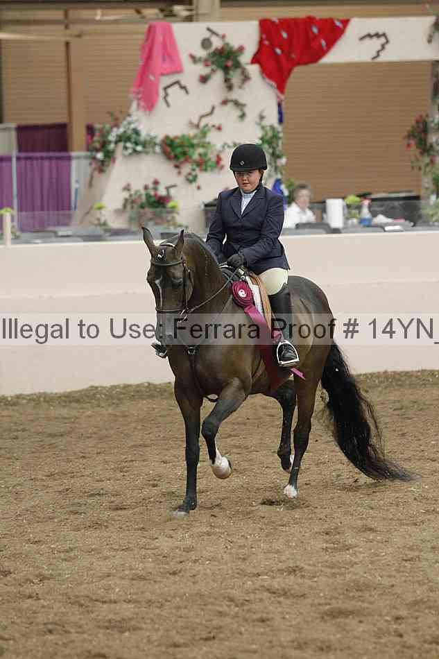 Proof 14yn_19513