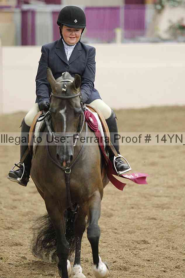 Proof 14yn_19515