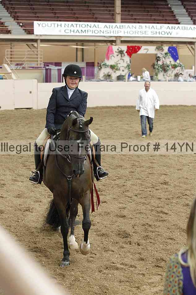 Proof 14yn_19516