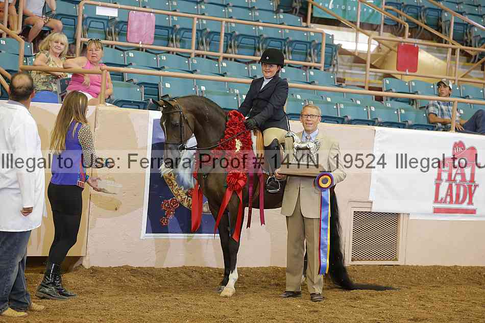 Proof 14yn_19524