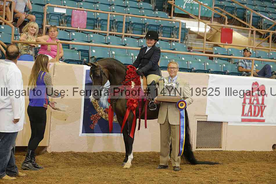 Proof 14yn_19525