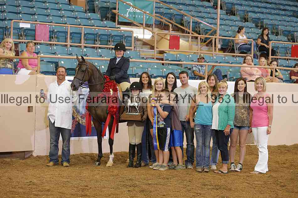 Proof 14yn_19531