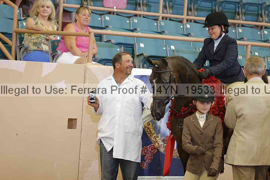 Proof 14yn_19533