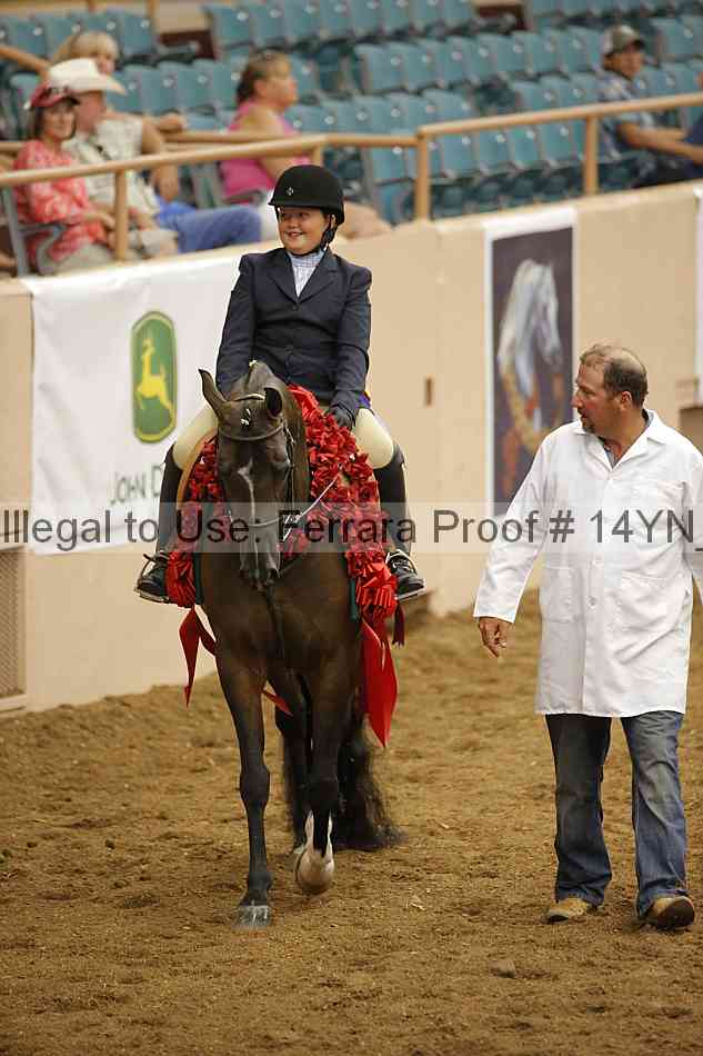 Proof 14yn_19538