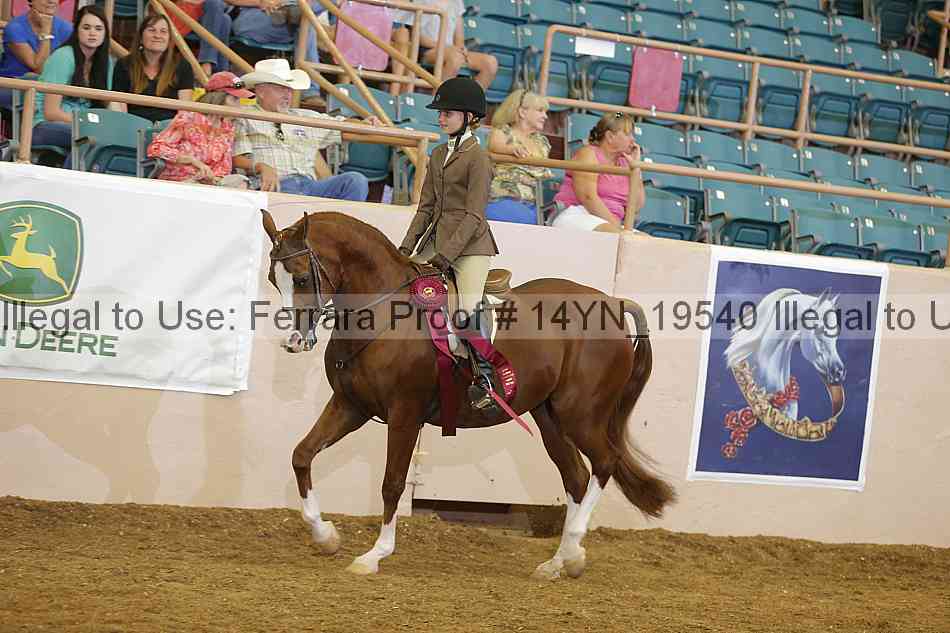 Proof 14yn_19540