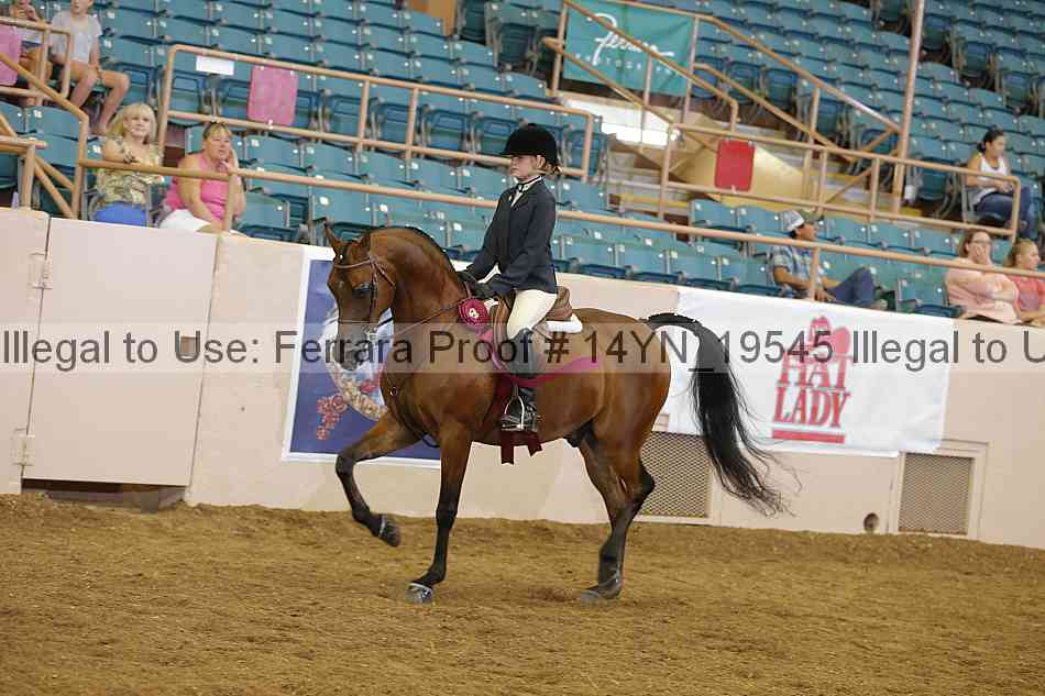 Proof 14yn_19545