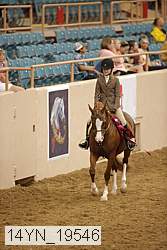 14yn_19546 proof