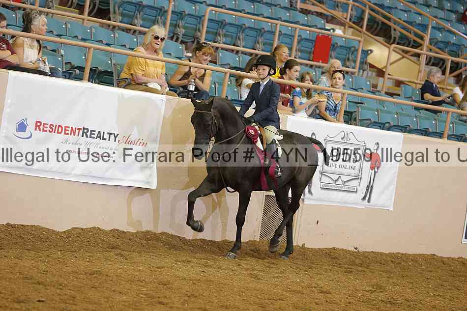 Proof 14yn_19550