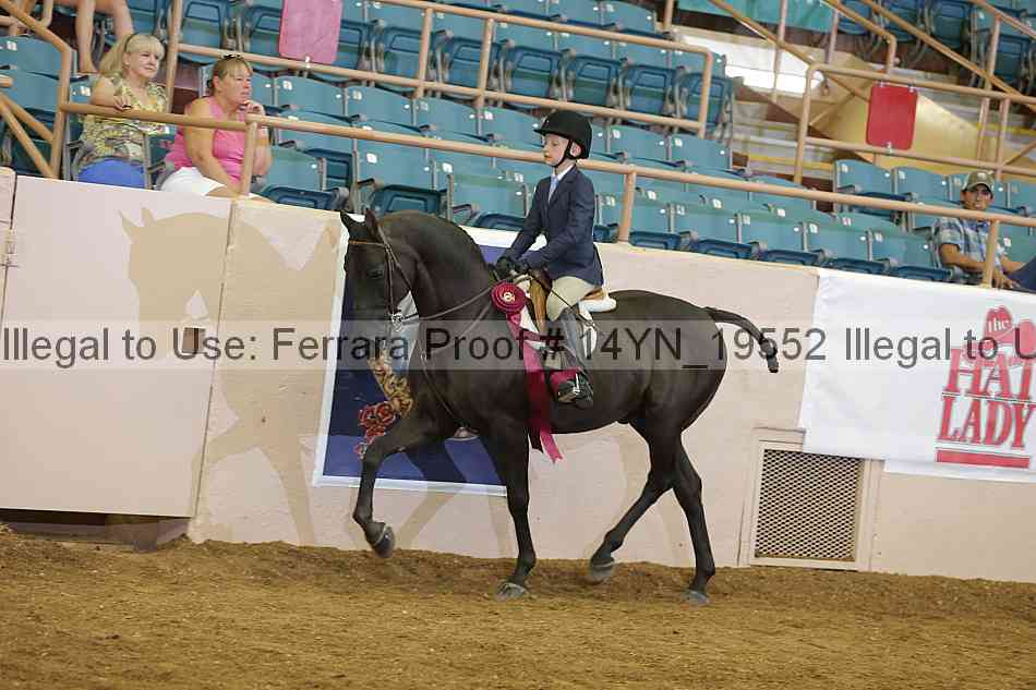 Proof 14yn_19552