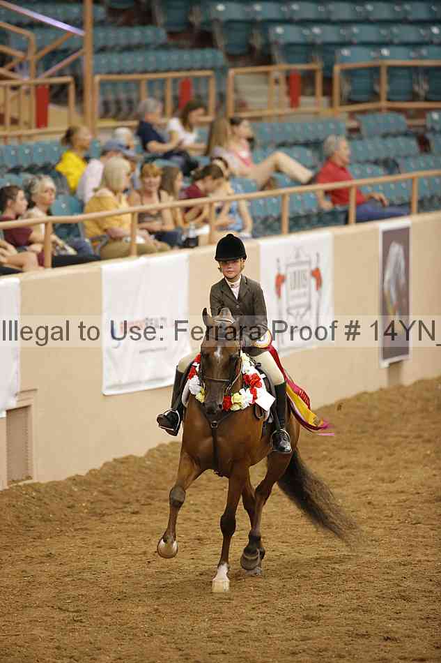 Proof 14yn_19587