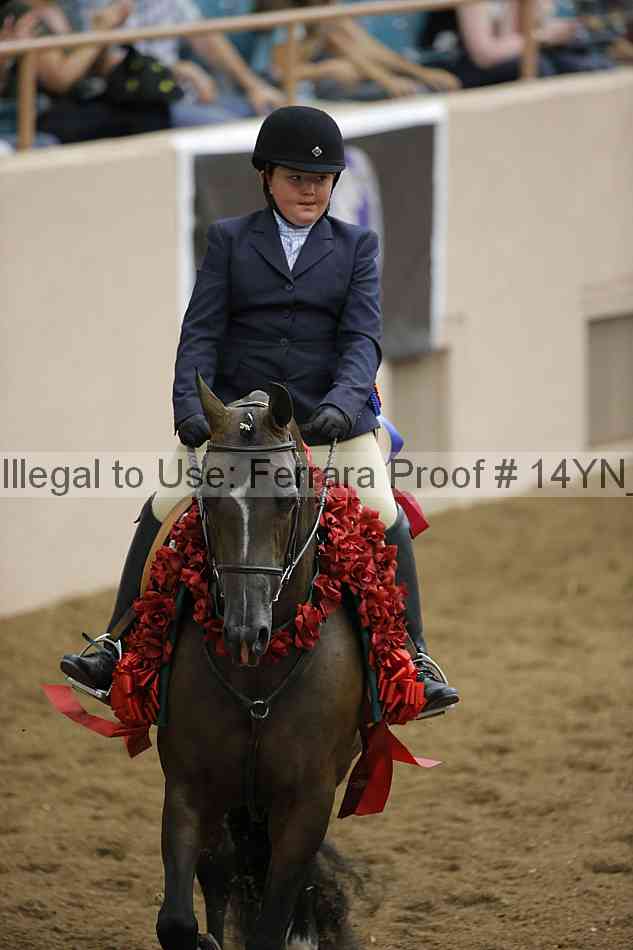 Proof 14yn_19601