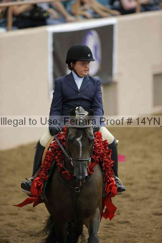 Proof 14yn_19602