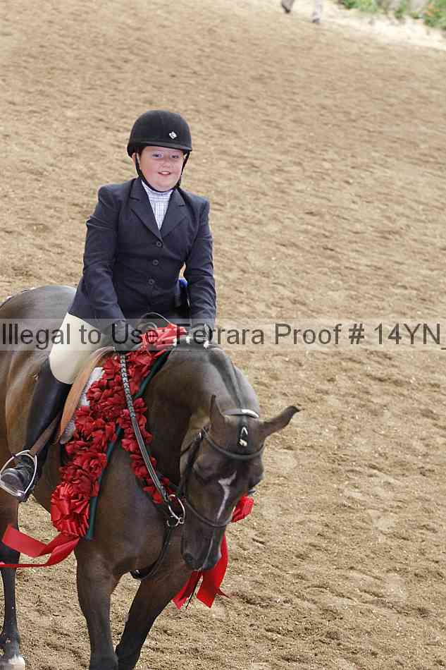 Proof 14yn_19604