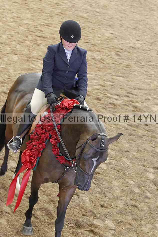 Proof 14yn_19606