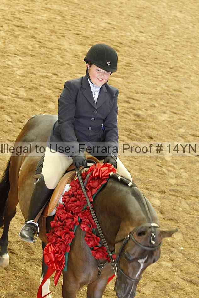 Proof 14yn_19607