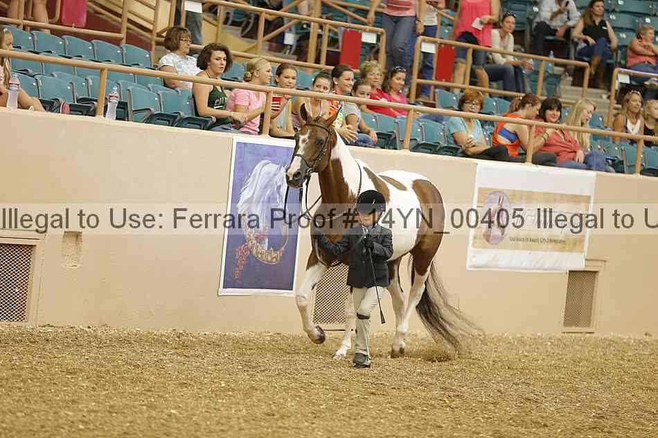 Proof 14yn_00405