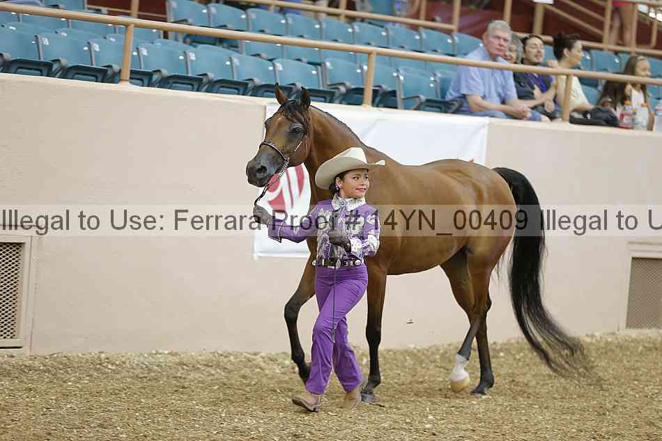 Proof 14yn_00409