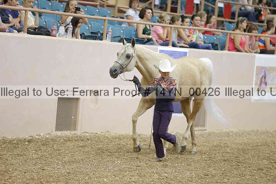 Proof 14yn_00426